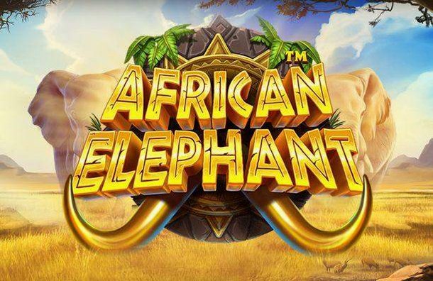 African Elephant Slot Pragmatic Play